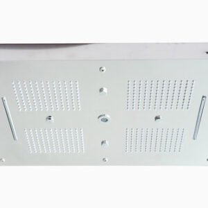 Ryan 4 Function Ceiling Shower