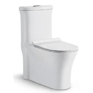 Rapa ONE PIECE TOILET With UF Seat Cover