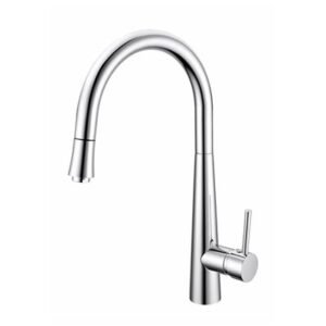 Salix-CP Sink Mixer With Pull Out Head