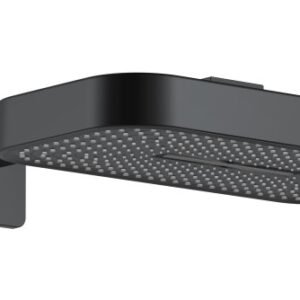 Neman 2 Function Shower Head With Arm