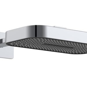 Neman 2 Function Shower Head With Arm