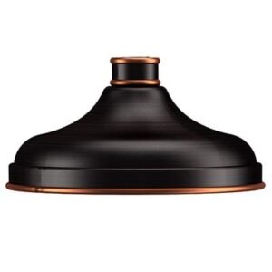 Torne Shower Head
